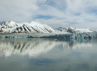 Le Svalbard, terre d’ours