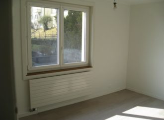 Loyer CHF 590.– Pièces1