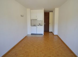 1 pièce, 22 m²