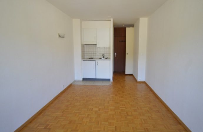 1 pièce, 22 m²