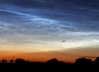 Les noctiluques, de nébuleuses apparitions qui se multiplient
