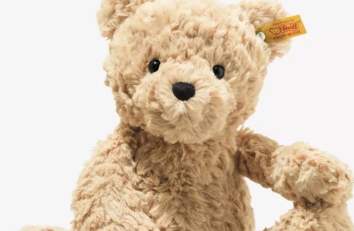 Teddy bear, nommé d’après le président Theodore Roosevelt